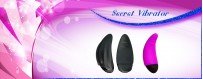 Secret Vibrator